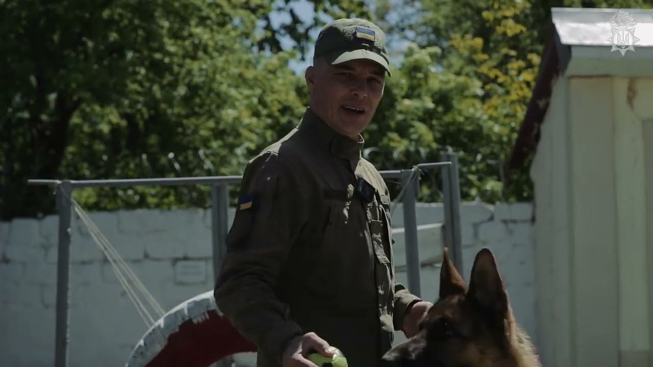 Службові собаки допомагають нашим військовим щодня виконувати службово-бойові завдання