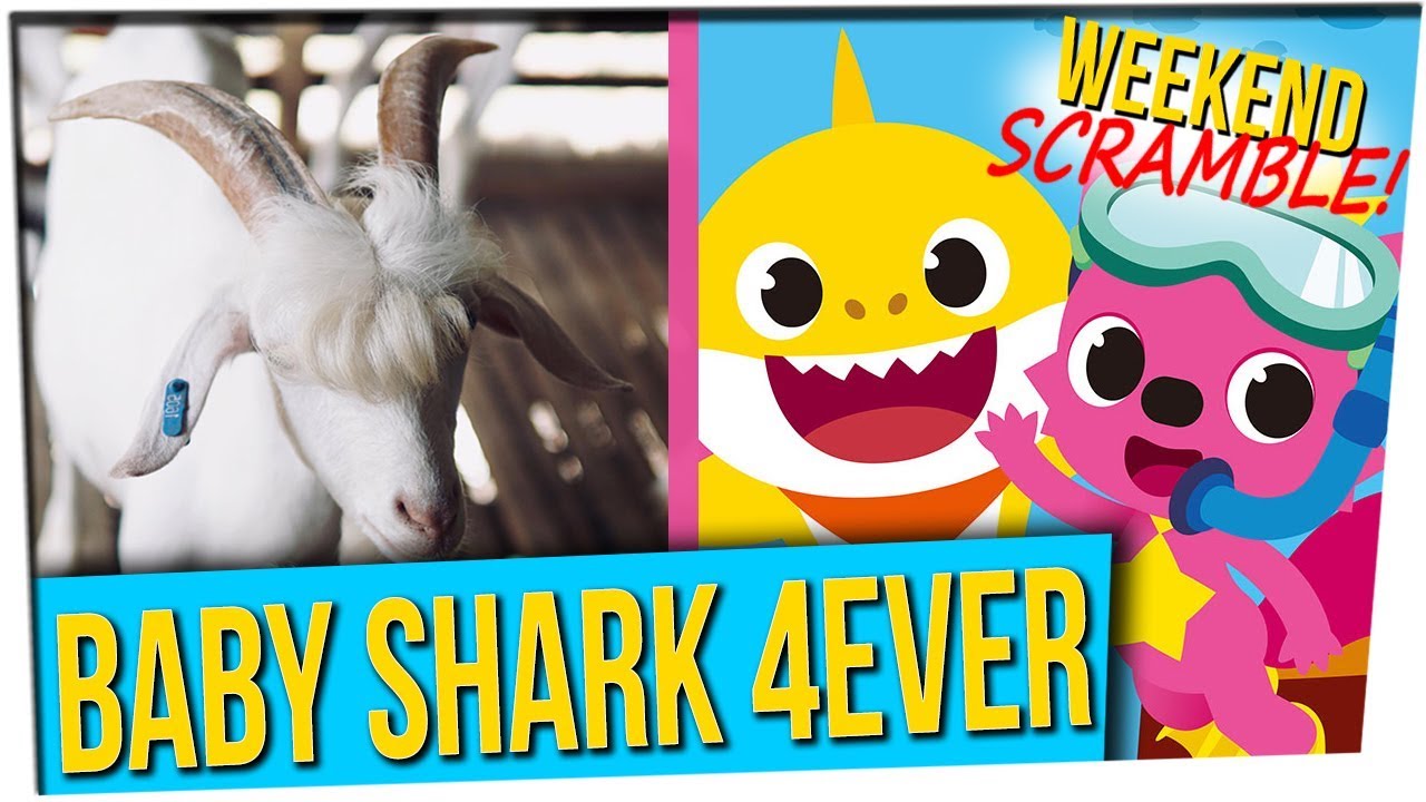 WS: Air Passenger Uses Feet on TV Screen || 'Baby Shark' to Drive Away Homeless (ft. Mike Bow)