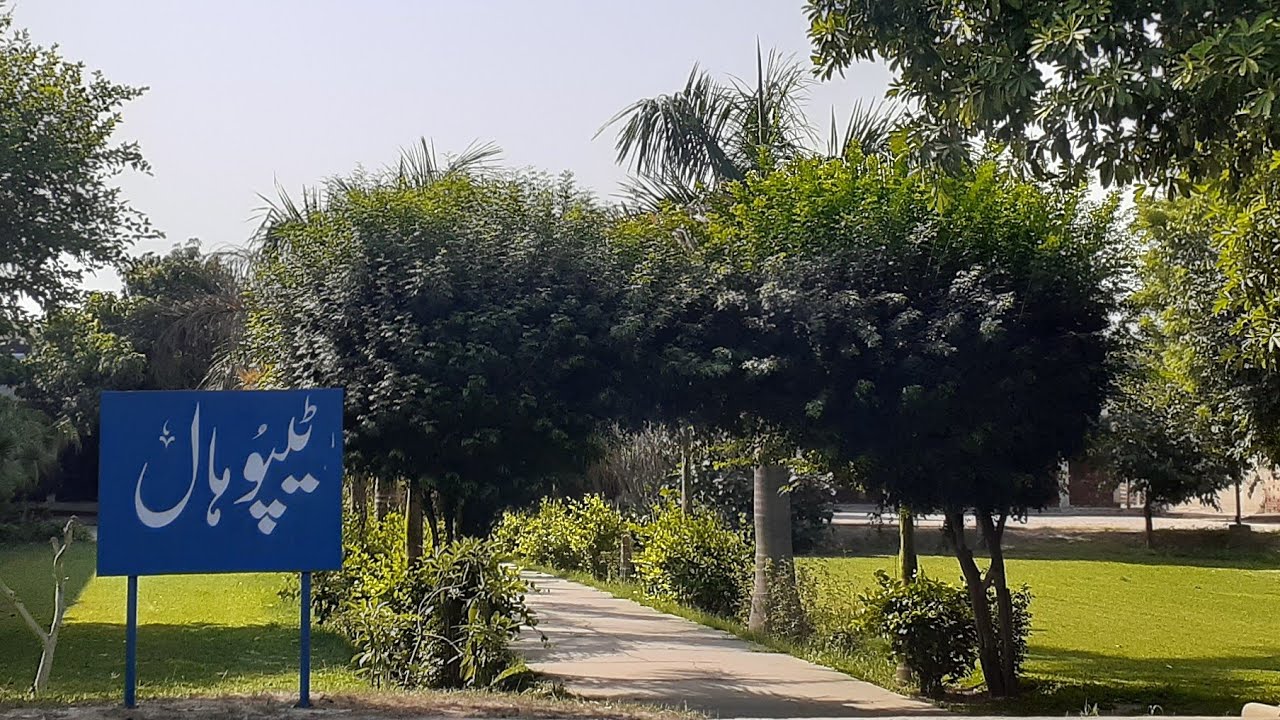 Teepu Hall UAF