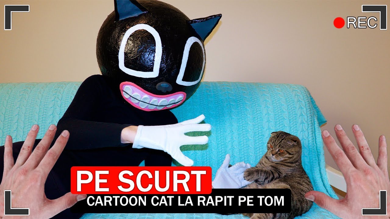 PE SCURT, CARTOON CAT LA RAPIT PE TOM