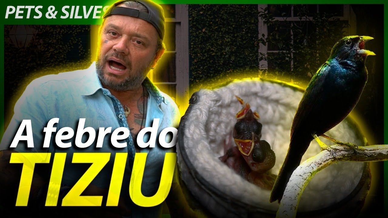 POR QUE O TIZIU ESTÁ VIRANDO UMA FEBRE? | RICHARD RASMUSSEN