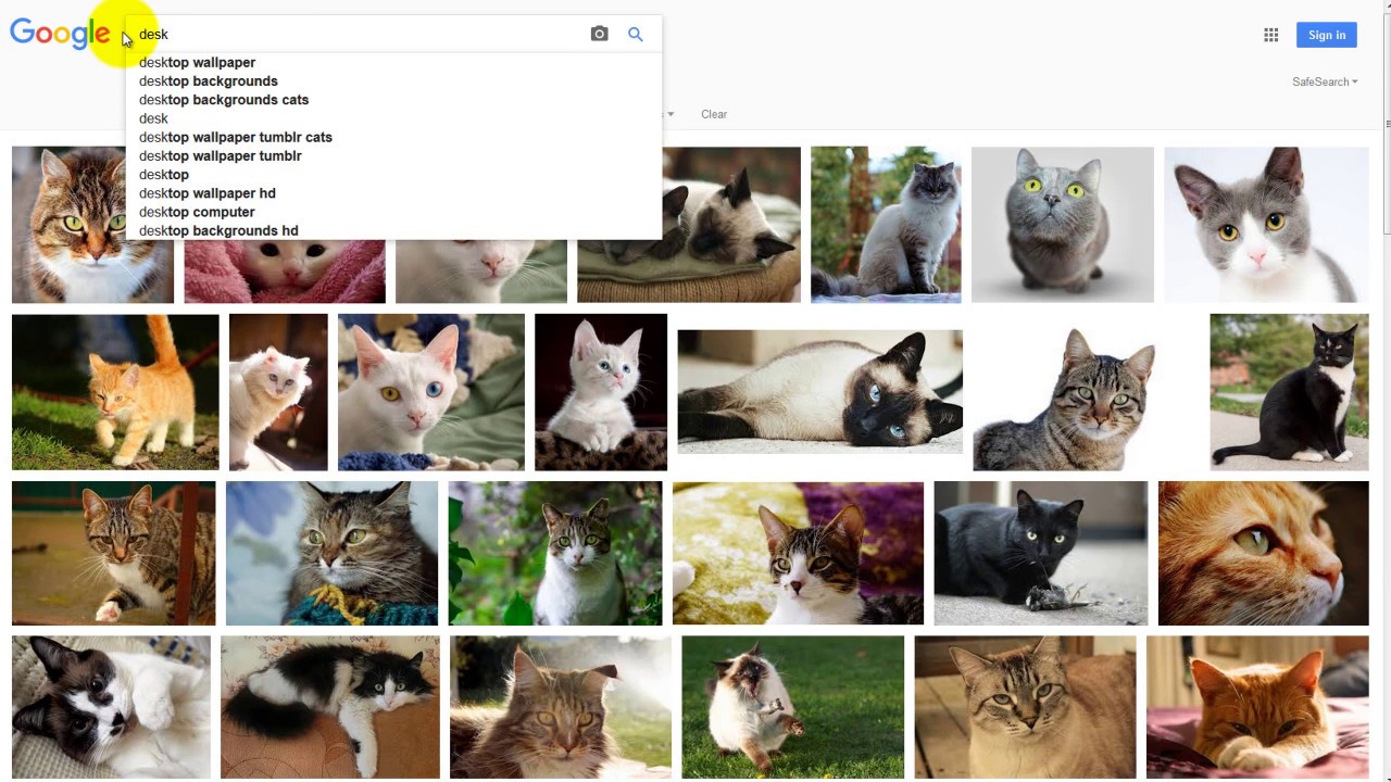 How To Find Royalty Free Images on Google