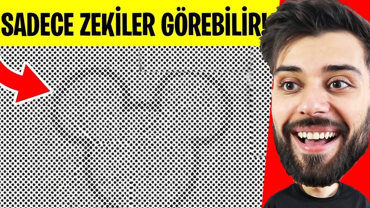 DÜNYANIN EN İYİ AKIL OYUNLARI ! (OPTİK İLLÜZYON)