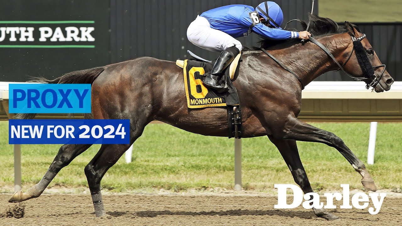 Proxy | NEW for 2024!