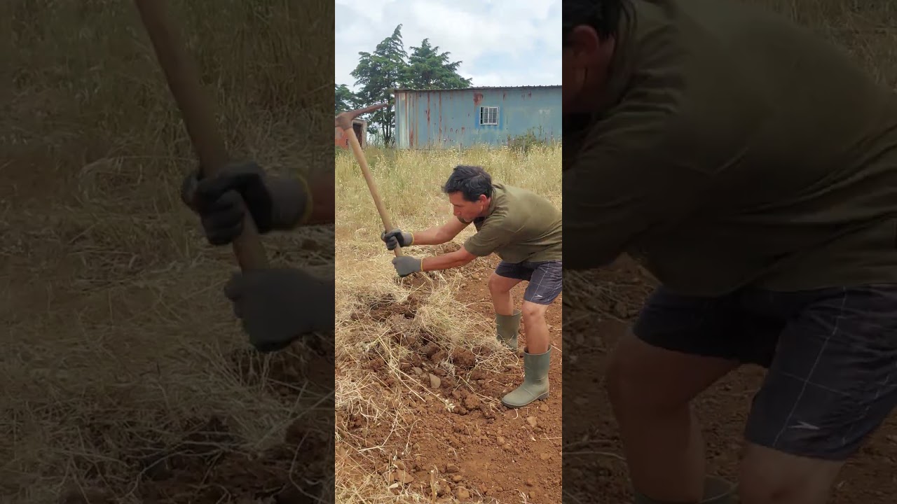 Cavar a terra do futuro lago com picareta - 1&ordm; de 5