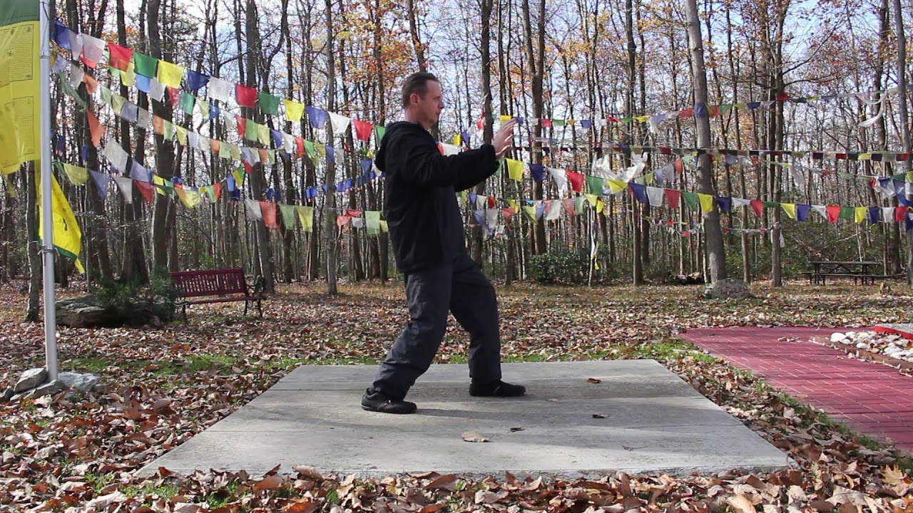 Tai-Chi How To/Beginners/Grasp the Sparrows Tail #5 w/Cain Yentzer
