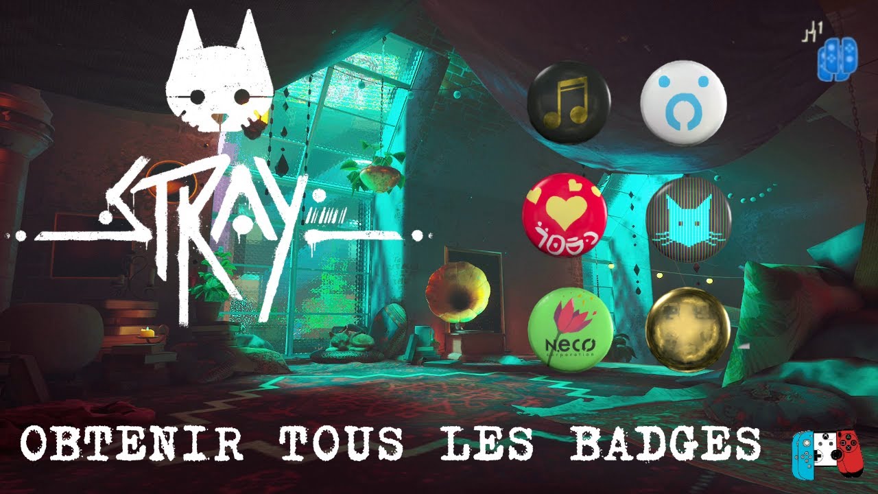 OBTENIR TOUS LES BADGES | STRAY
