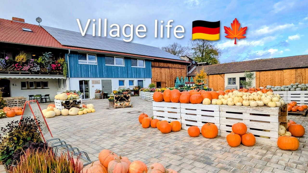 A Day in a German Village 🇩🇪 | Exploring Farm Life, Baby Cows & Pumpkin Field #germany #villagelife