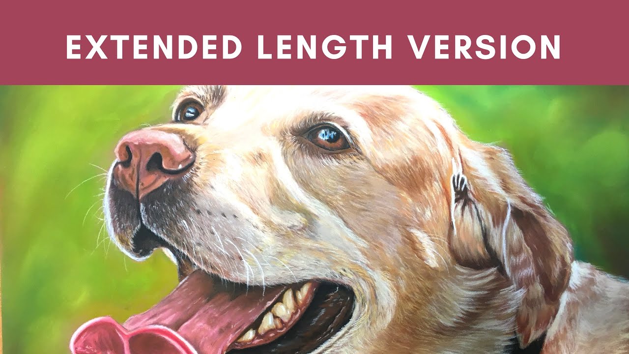 Golden lab portrait art of Yellow Labrador speed painting