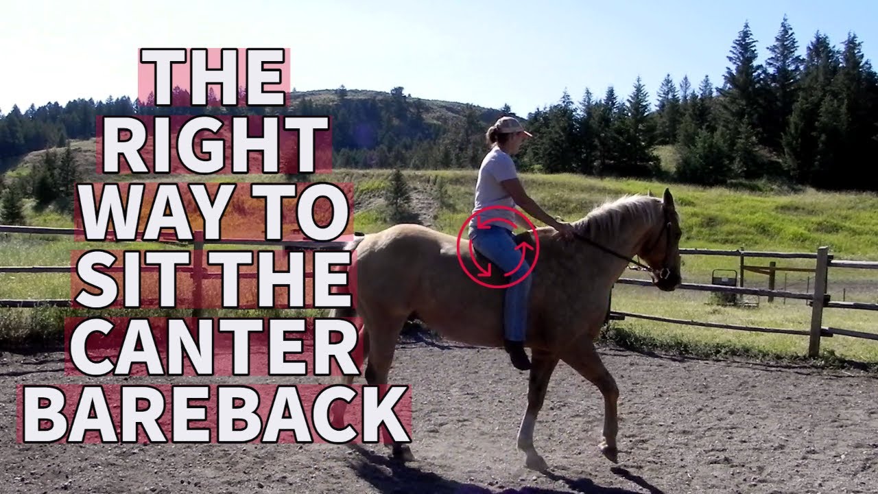 HOW TO RIDE/SIT THE CANTER BAREBACK(EXPLAINED IN DETAIL)