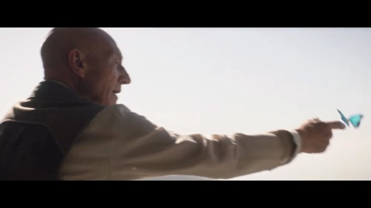 Blue Skies (Jeff Russo) (from Star Trek: Picard)