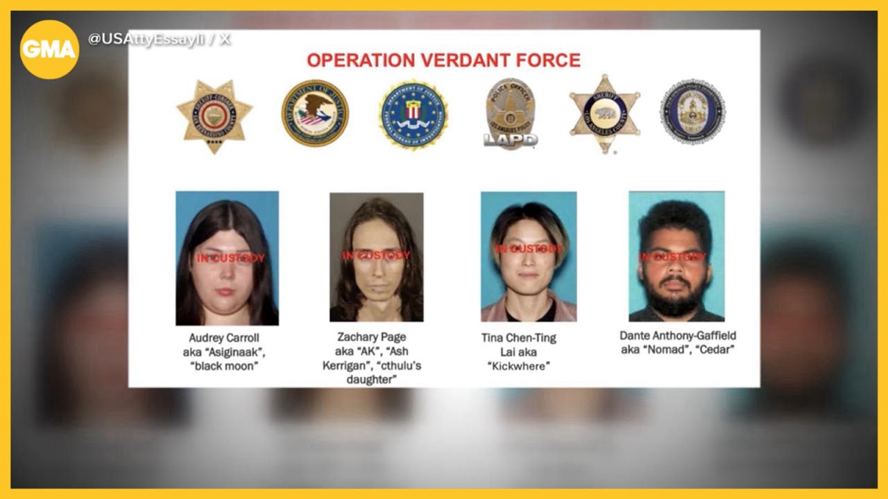 New Year’s Eve California terror plot foiled