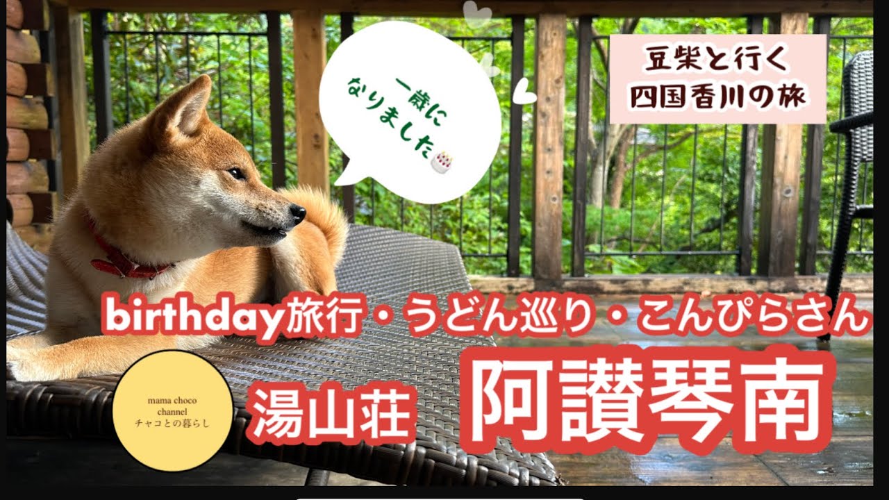 ㊗️犬と泊まれる宿で1歳の誕生日をお祝い/香川県　阿讃琴南