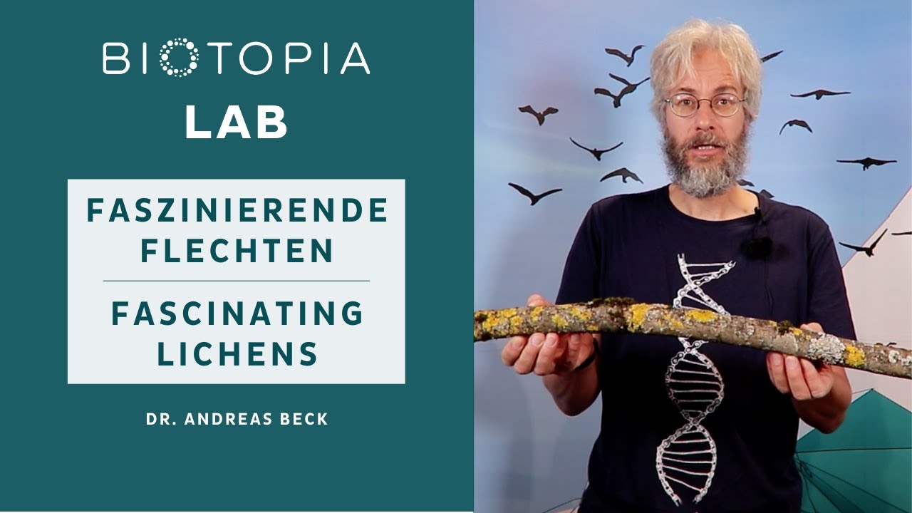 Faszinierende Flechten | Fascinating Lichens - Fungi for Future