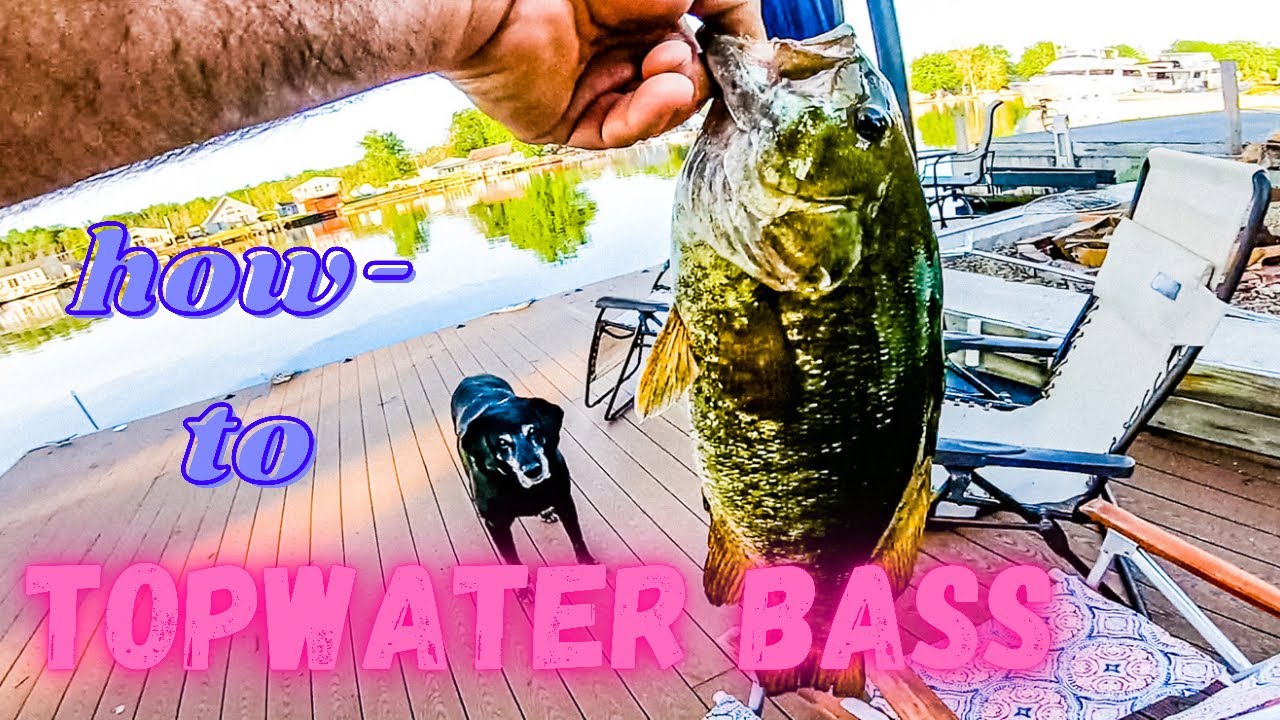 FISHING POPPERS for BASS