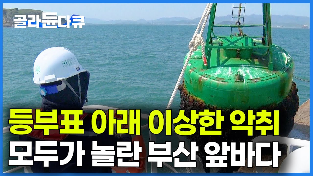 등부표 들어 올렸다가 전부 얼음.. 고기 안 잡히는 이유가 있다는 부산 앞바다 근황｜극한직업｜#골라듄다큐