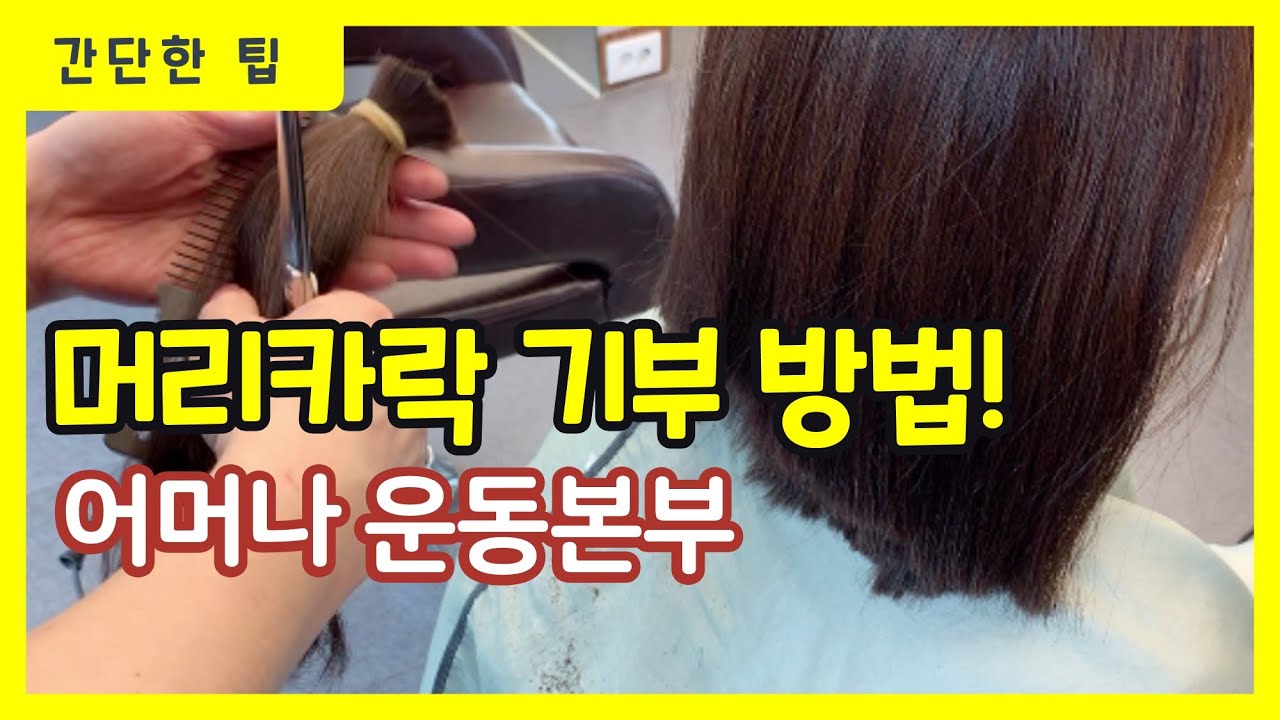 [간단팁] 머리카락 기부를 했습니다. - 어머나 운동본부