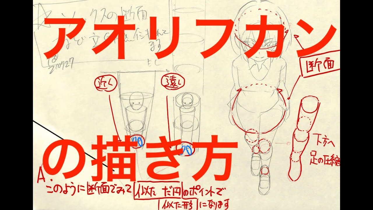 【キャラ】【描き方】アオリフカンの描き方※一般公開