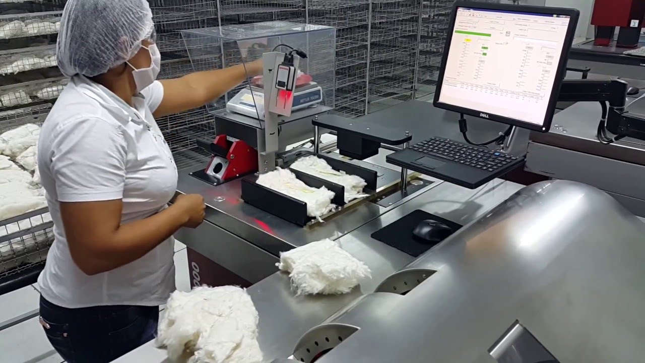 Laboratório de Análise HVI Cooperfibra