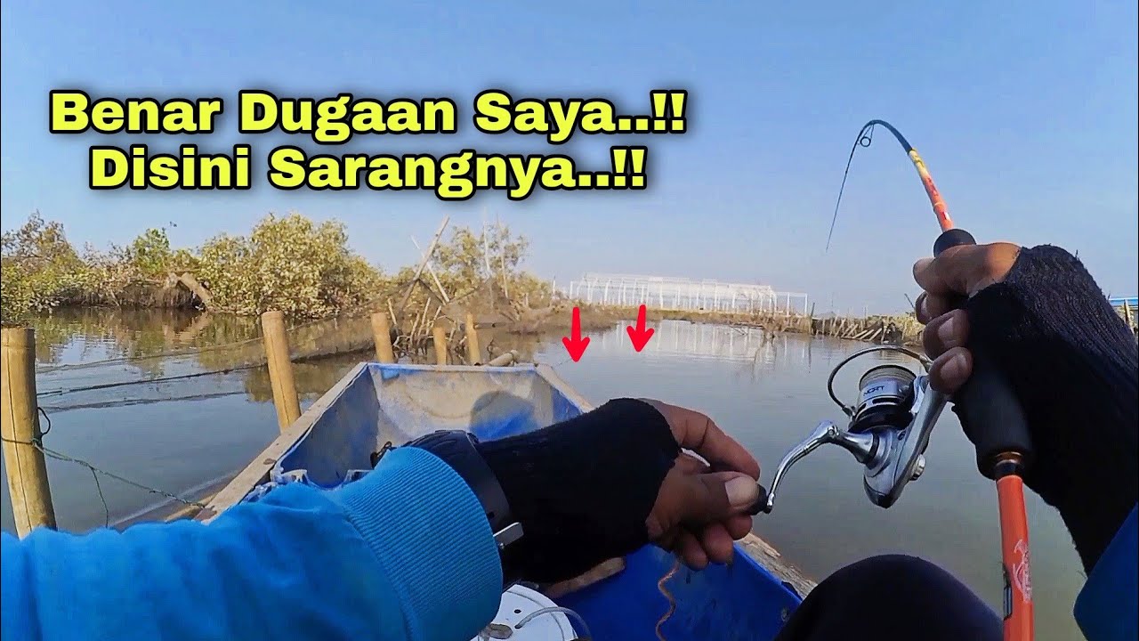 Semua Pemancing Ingin Spot Seperti Ini❗Strike Terus...