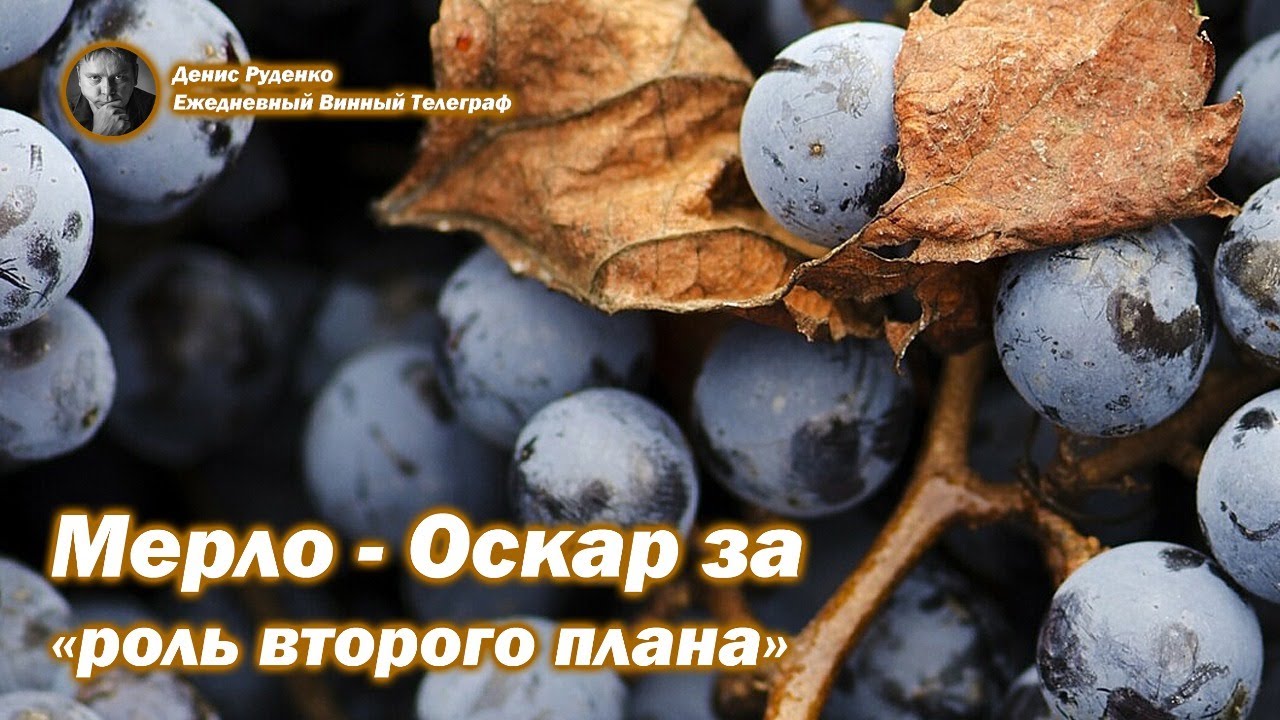 Мерло - Оскар за 