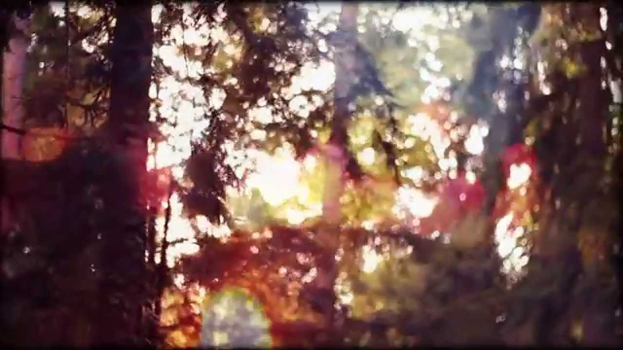 Tiemo Hauer - Kapelle (offizielles Musikvideo)