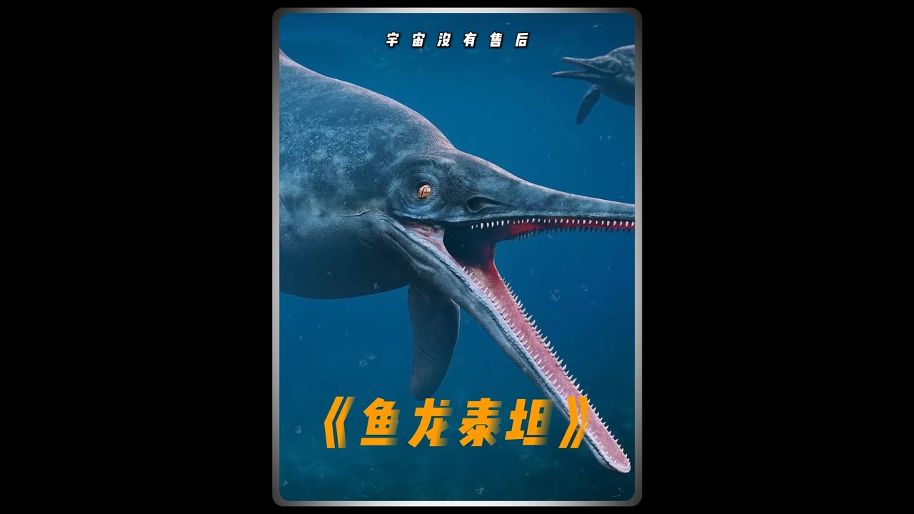 这个比蓝鲸大10倍的家伙，才是地球上最大的生物！#科普#科普一下#探索与发现#海洋生物#百科密码 #探索与发现