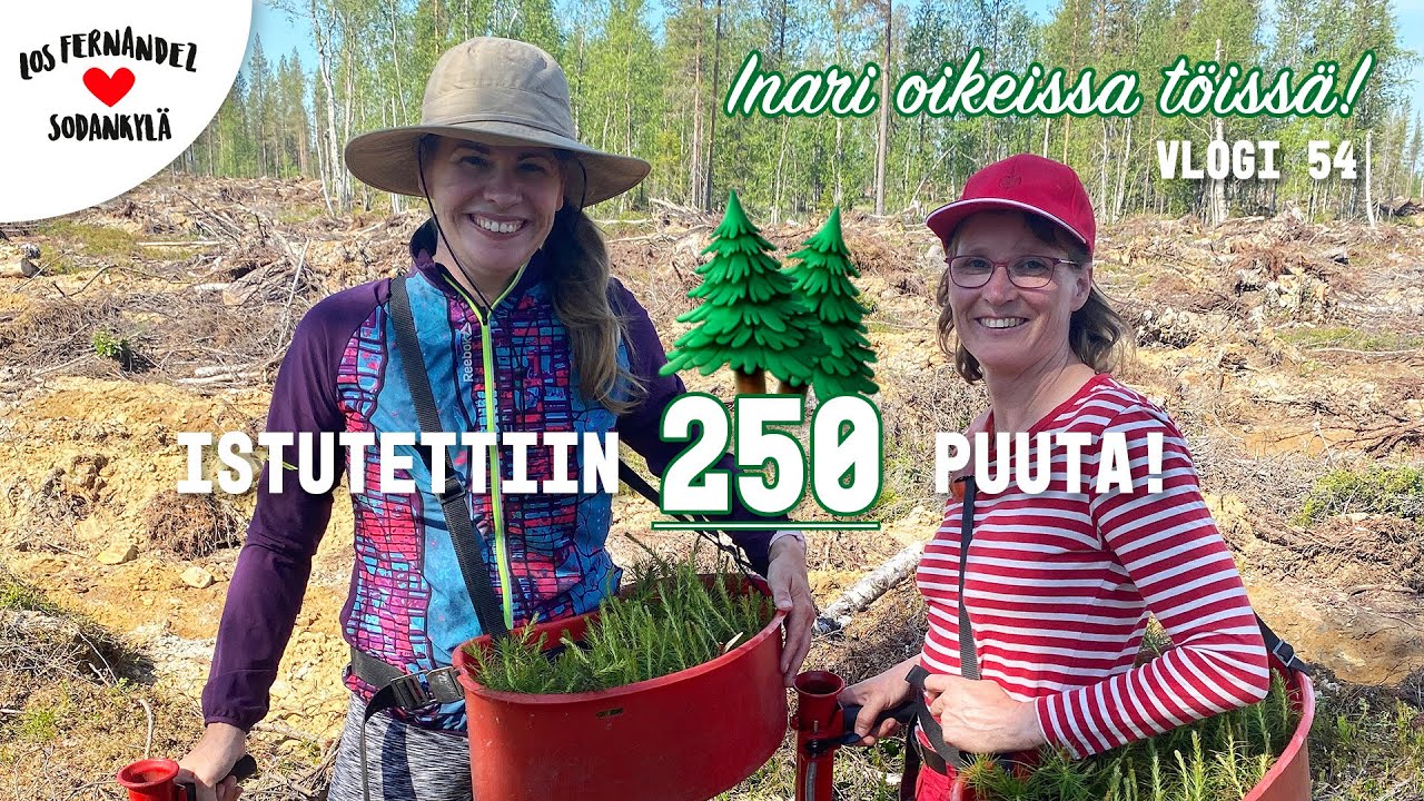 INARI LAPIN OIKEISSA T&Ouml;ISS&Auml; - P&Auml;IV&Auml; METS&Auml;T&Ouml;ISS&Auml;! #vaihtovuosisodankyl&auml;ss&auml; vlogi 54