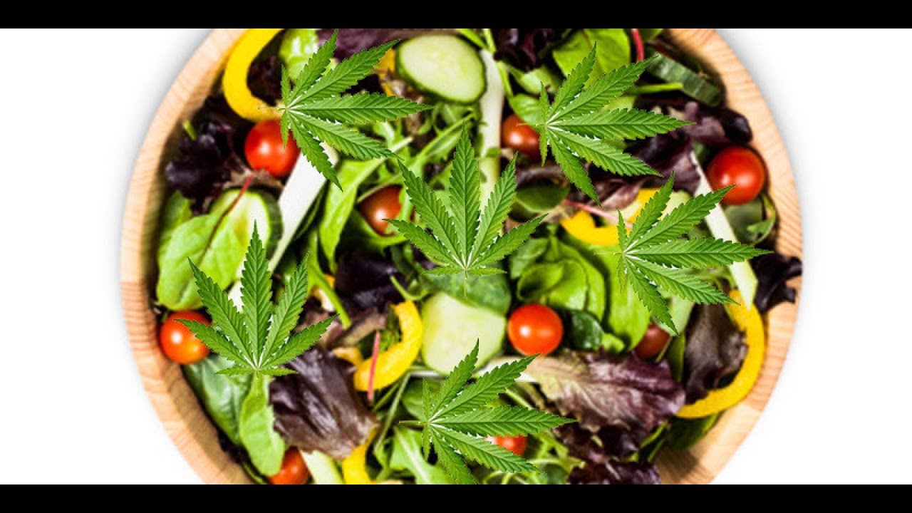 Raw Cannabis Salad 
