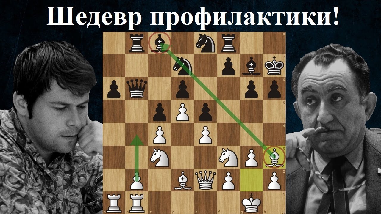 Шедевр позиционной игры 💖 Тигран Петросян - Властимил Горт ♟ Бевервейк 1971 ♟ Шахматы