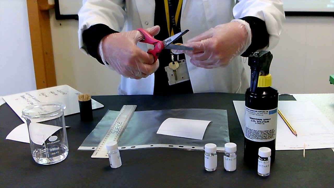 BTEC Amino Acid Chromatography