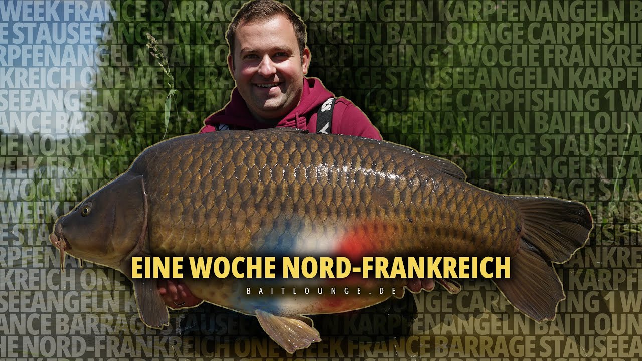 Eine Woche Nordfrankreich 🇫🇷🎣🐋 | Karpfenangeln | Carpfishing | Baitlounge | Boilies | Flachlandsee