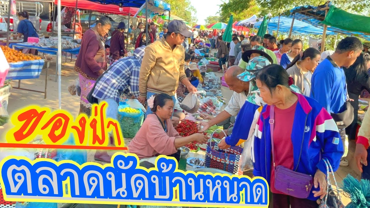 มีทุกวันอังคาร #ตลาดนัดไทย-ลาว บ้านหนาด #food  ของป่า บรรยากาศอาหารแบบบ้าน หนูนา หอย กุ้ง #eating 