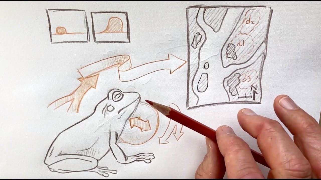 The Nature Journal Connection, Episode 11, Drawing Diagrams