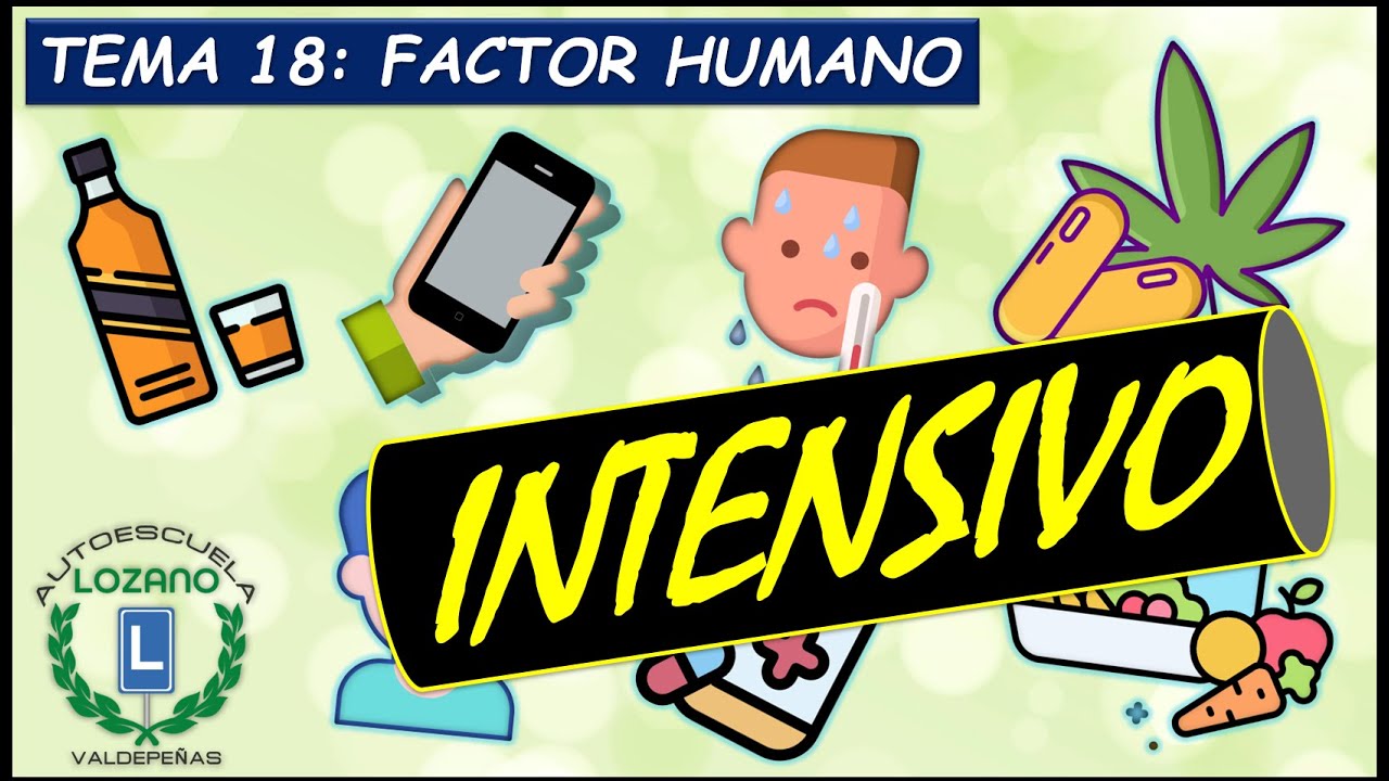 INTENSIVO PERMISO B - TEMA 18 FACTOR HUMANO