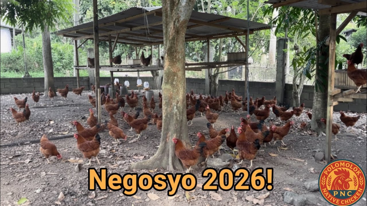 MAGANDANG NEGOSYO NGAYONG 2026! 