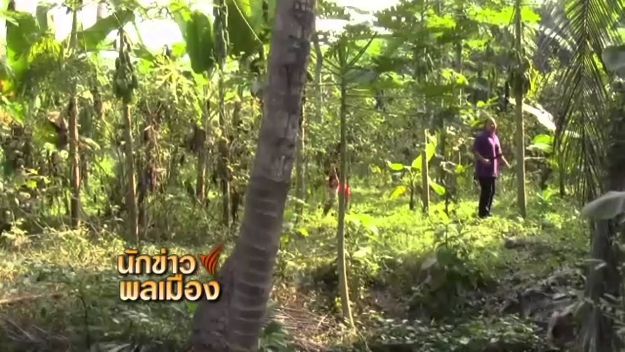 1 2 56 จอมทอง จ พิษณุโลก