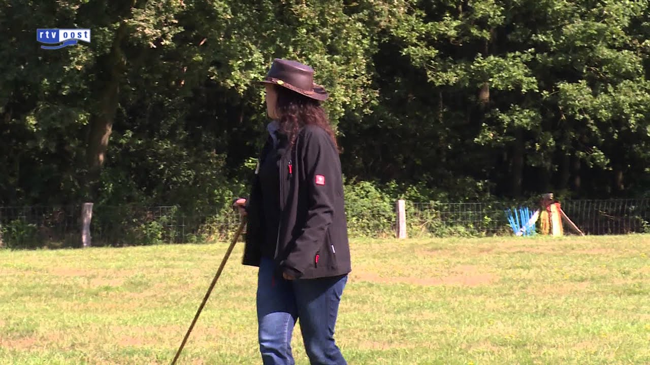 Hondentrainer uit Nijverdal druk met EK en WK schapen drijven