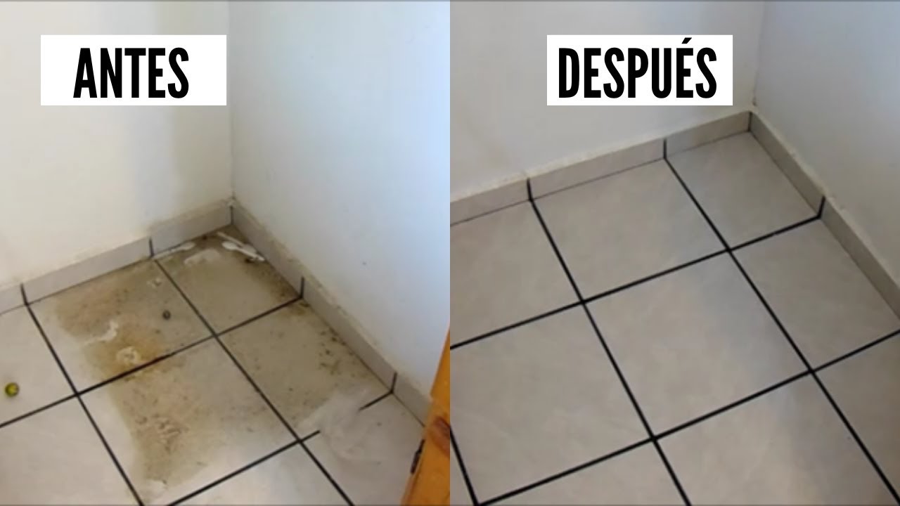 Limpieza Arriba Y Detrás del Refrigerador | Erika Blop