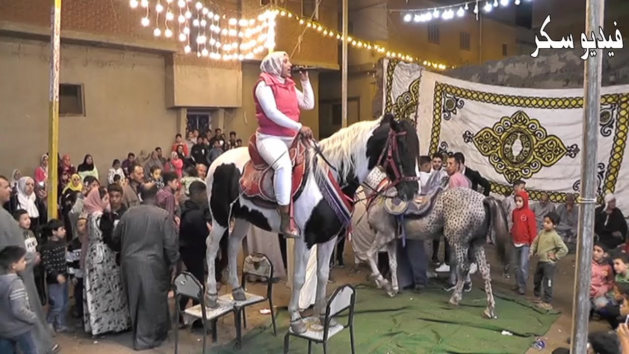تألق البنت والحصان فوق الكراسي على أنغام المزمار البلدي!
