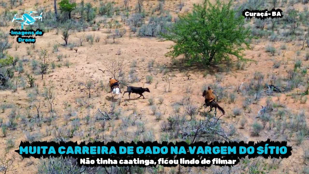 Pega de Boi Pé de Porteira da Vargem do Sítio 