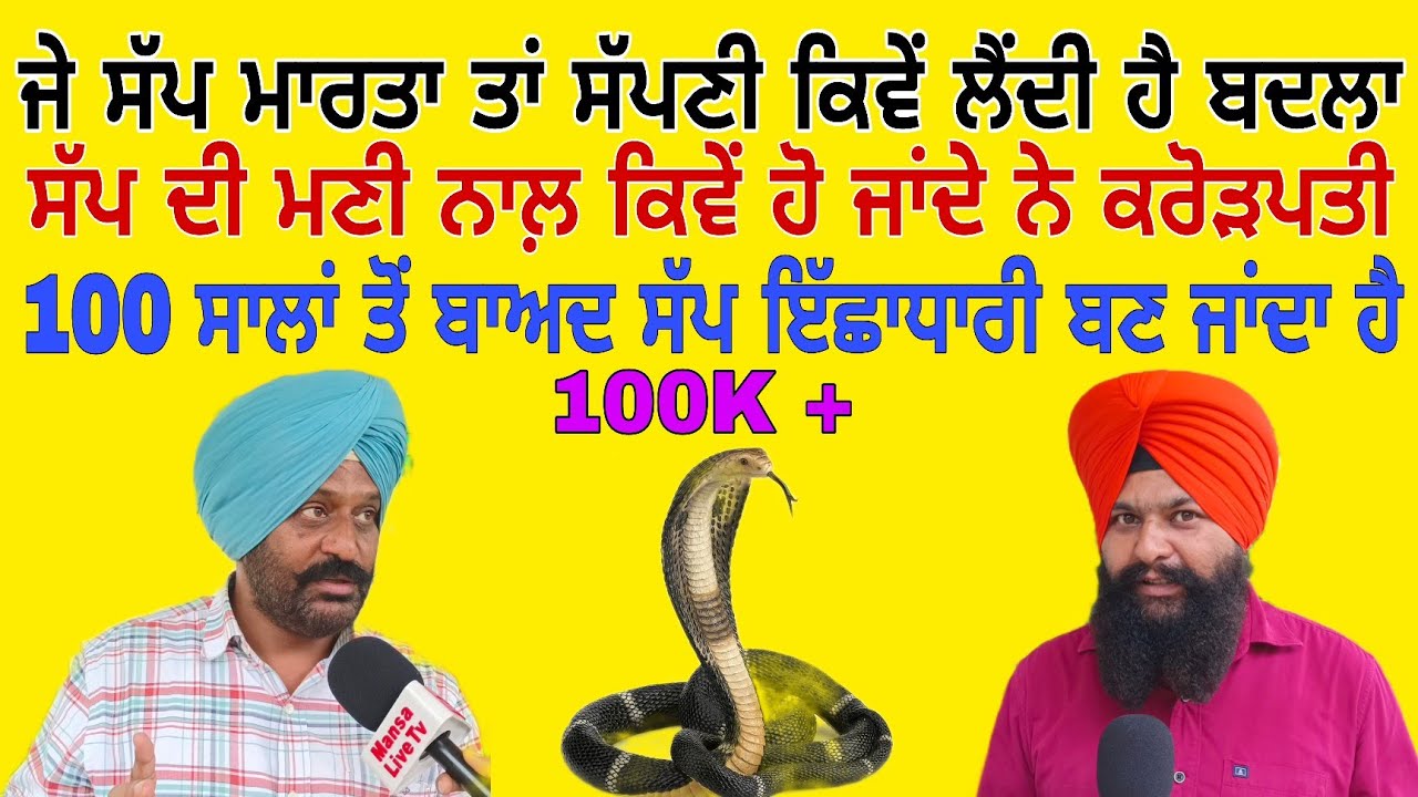 Youtube ਜੇ ਸੱਪ ਮਾਰਤਾ ਤਾ ਸੱਪਣੀ ਲੈਂਦੀ ਹੈ ਬਦਲਾ ਸੱਪਾਂ ਵਾਰੇ ਫੈਲਾਈਆਂ ਅਫਵਾਹਾਂ ਵਾਰੇ ਜਾਣਕਾਰੀ 