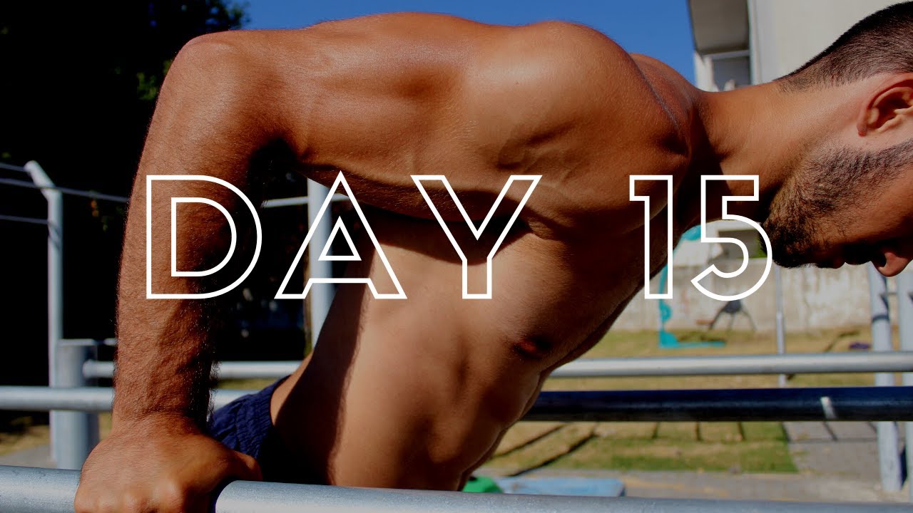 Chest Shoulders Triceps Workout Routine - No Equipment - Day 15