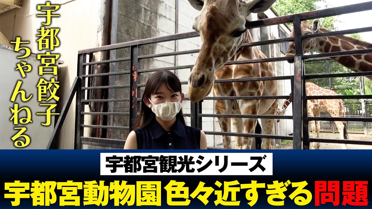 色々話題！？ 宇都宮動物園に潜入！【宇都宮観光シリーズ】 #54
