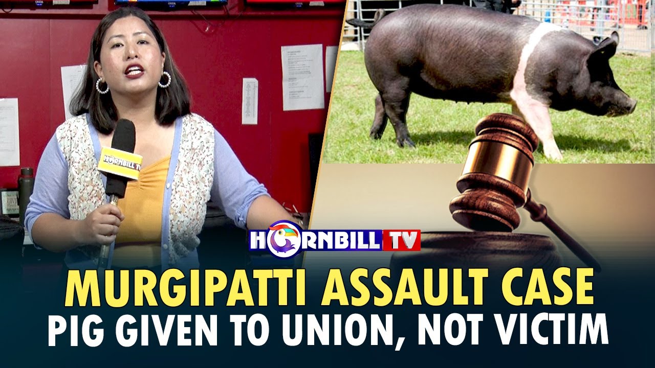 MURGIPATTI ASSAULT CASE: PIG GIVEN TO UNION, NOT VICTIM
