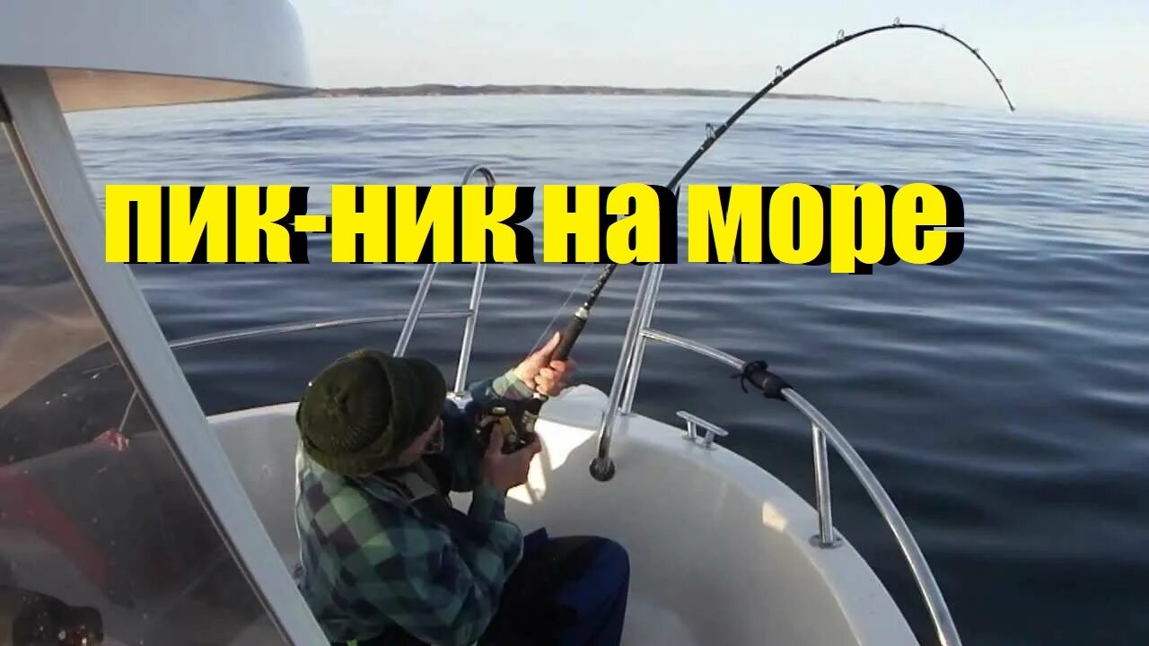 Пик🤘ник на озере в лесу сменился морской рыбалкой на Балтике.Что выбрать,лес или море.А Полесск пуст