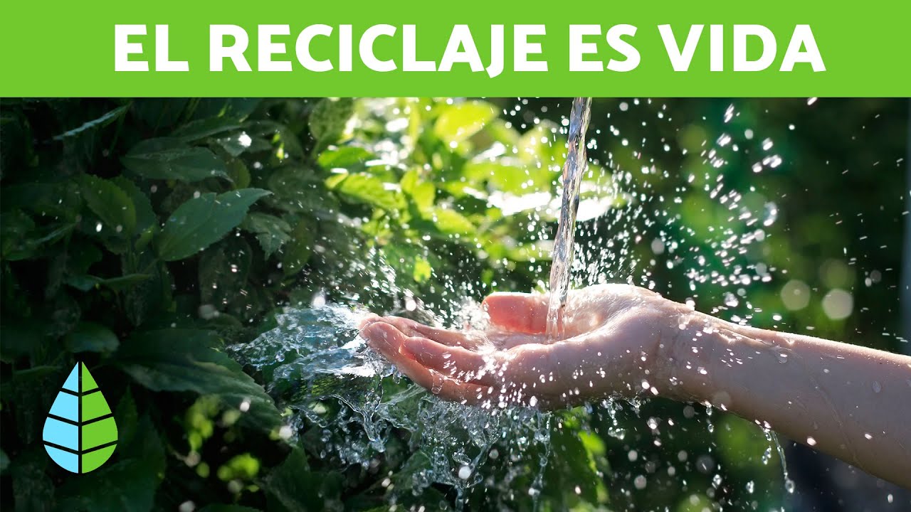BENEFICIOS DEL RECICLAJE ♻️  &iquest;Qu&eacute; es el reciclaje?