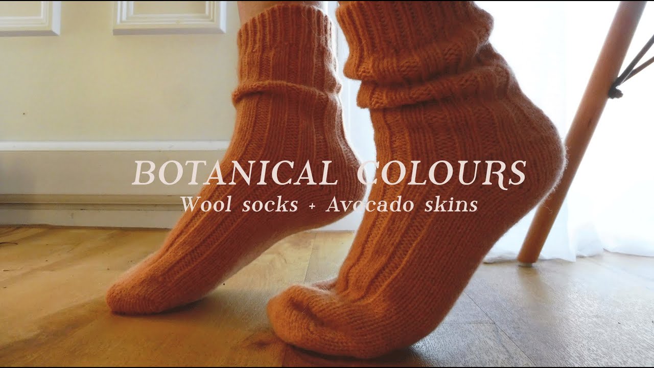 AVOCADO SKINS | HOW to NATURAL DYE at home  | a pair of WOOL SOCK | BOTANICAL COLOURS | Casa Caribe