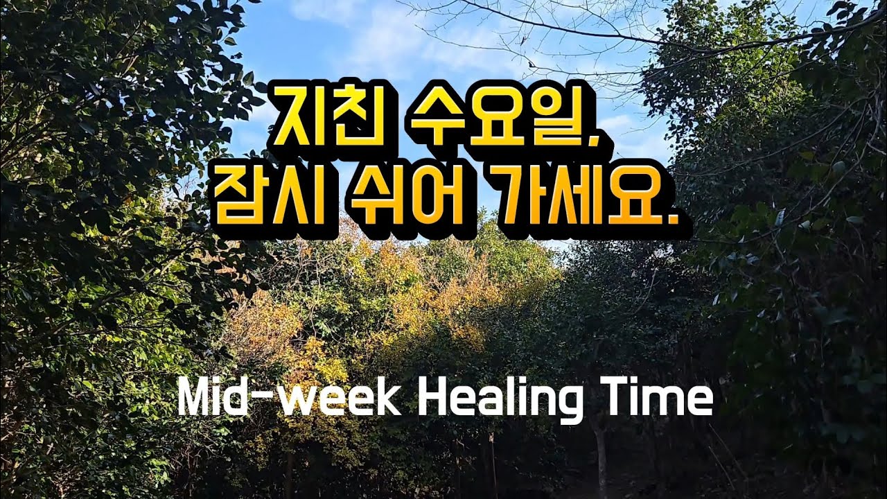 지친 수요일, 머리 비우는 15분 숲길 산책 (Nature Walking ASMR)