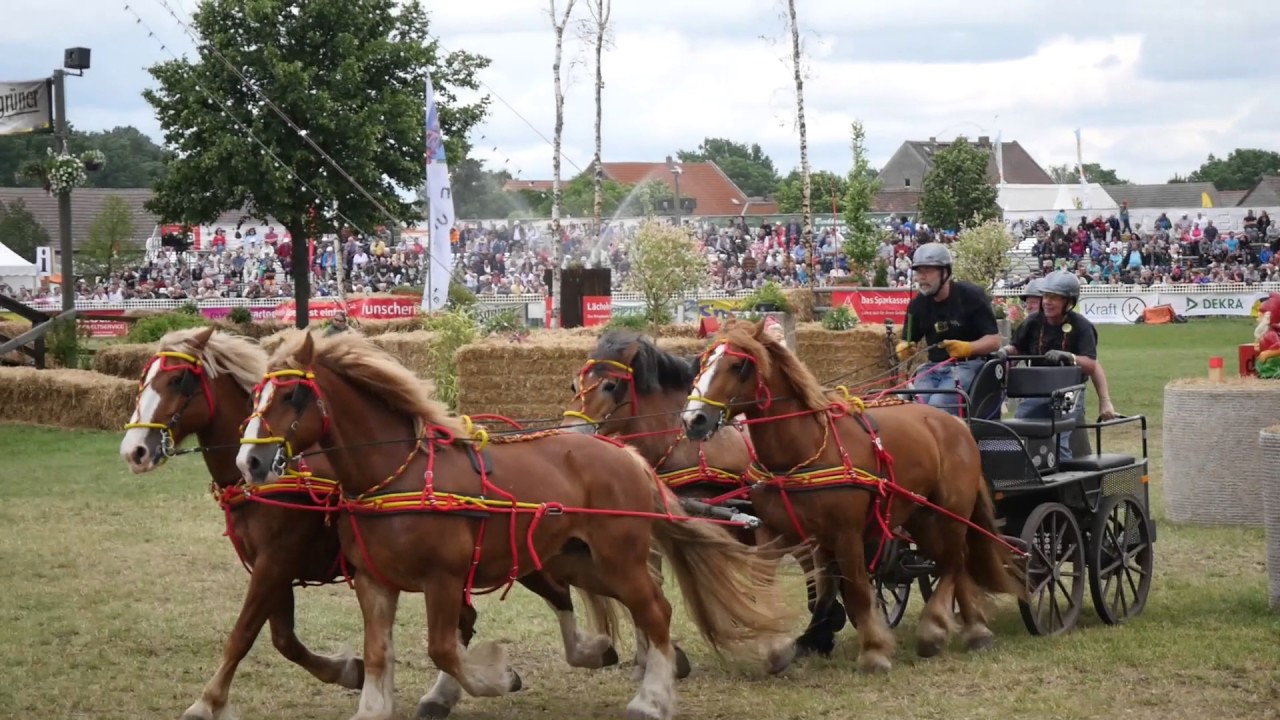 Titanen der Rennbahn 2017 1.Platz Hindernisfahren für Vierspänner